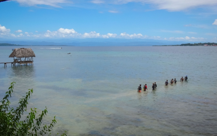 learn to SCUBA dive in costa rica on gap year semester 